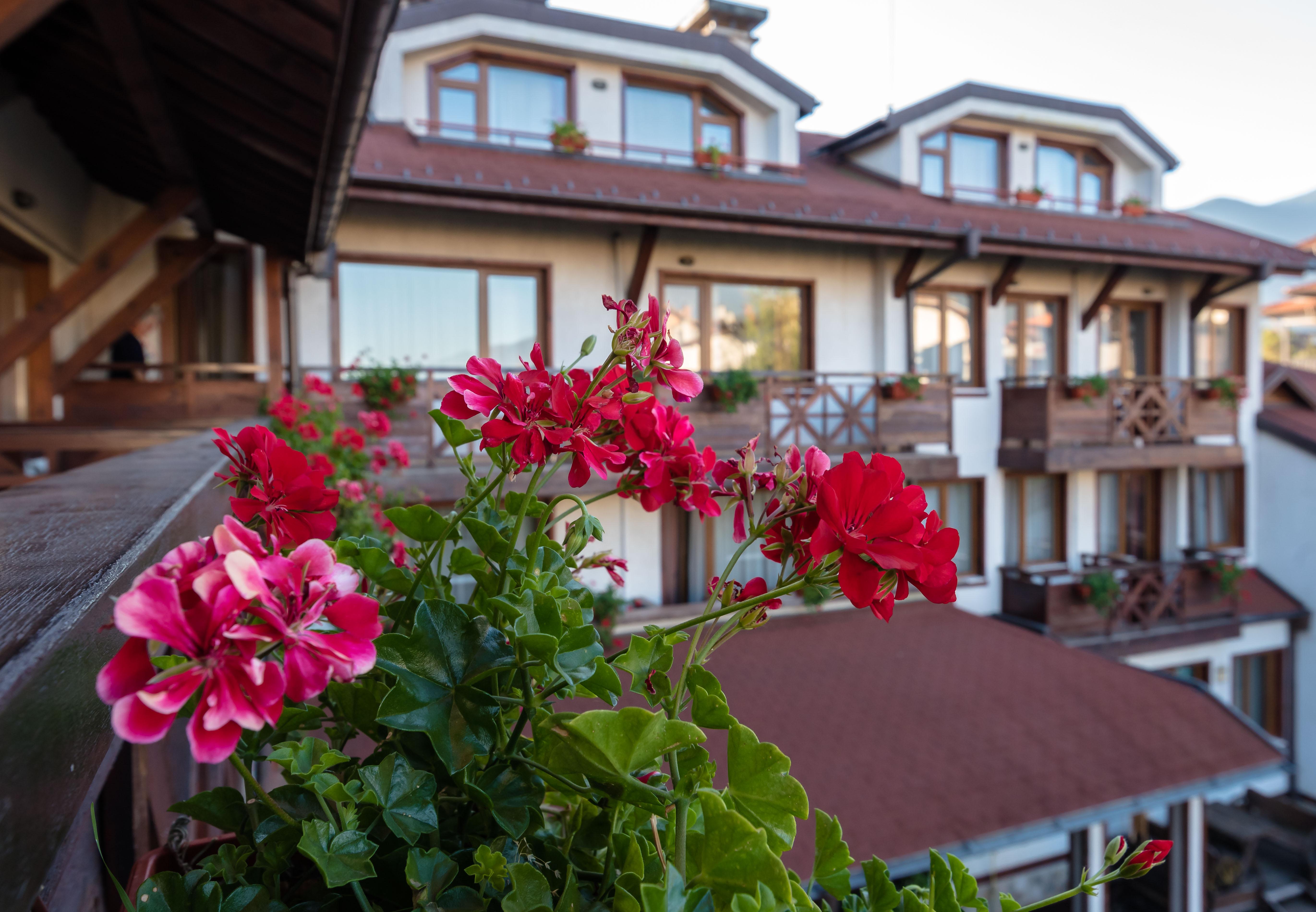 Evelina Palace Hotel Bansko Zewnętrze zdjęcie