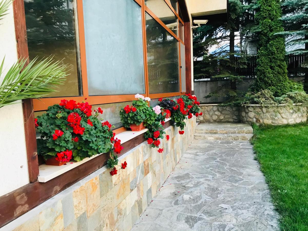 Evelina Palace Hotel Bansko Zewnętrze zdjęcie