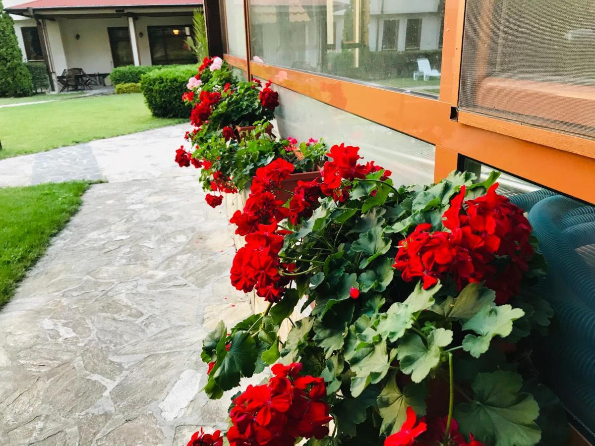 Evelina Palace Hotel Bansko Zewnętrze zdjęcie